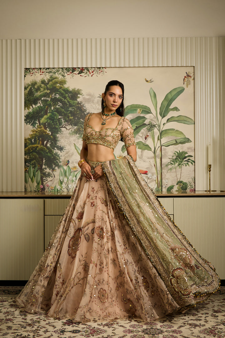 Saachi