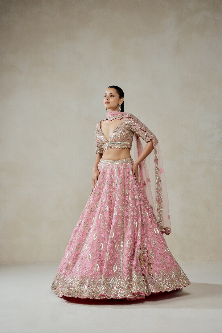 Pink Organza Mirror Work With Multiresham Lehenga Set