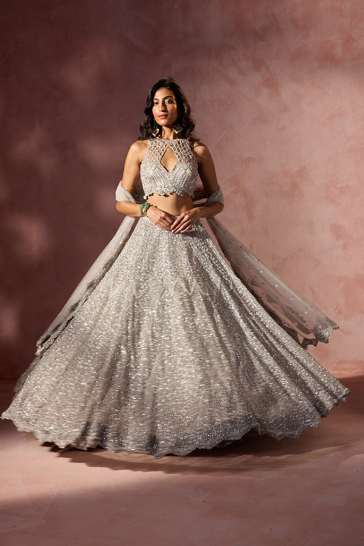 Silver Grey Net Lehenga Set
