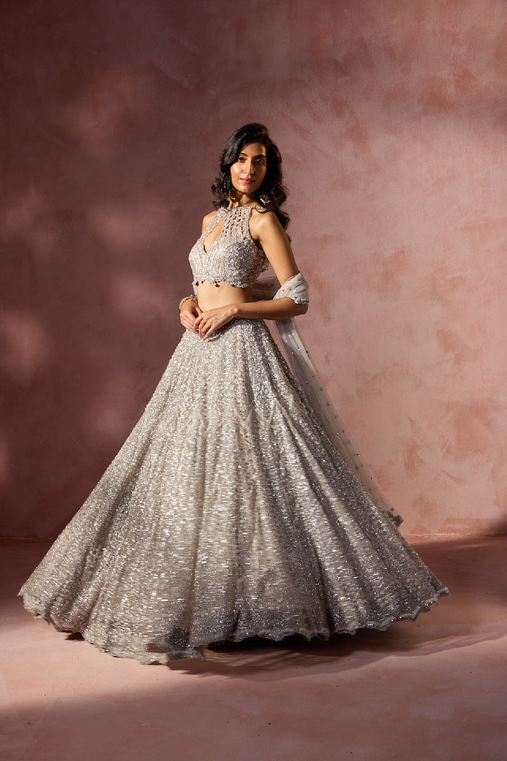 Silver Grey Net Lehenga Set