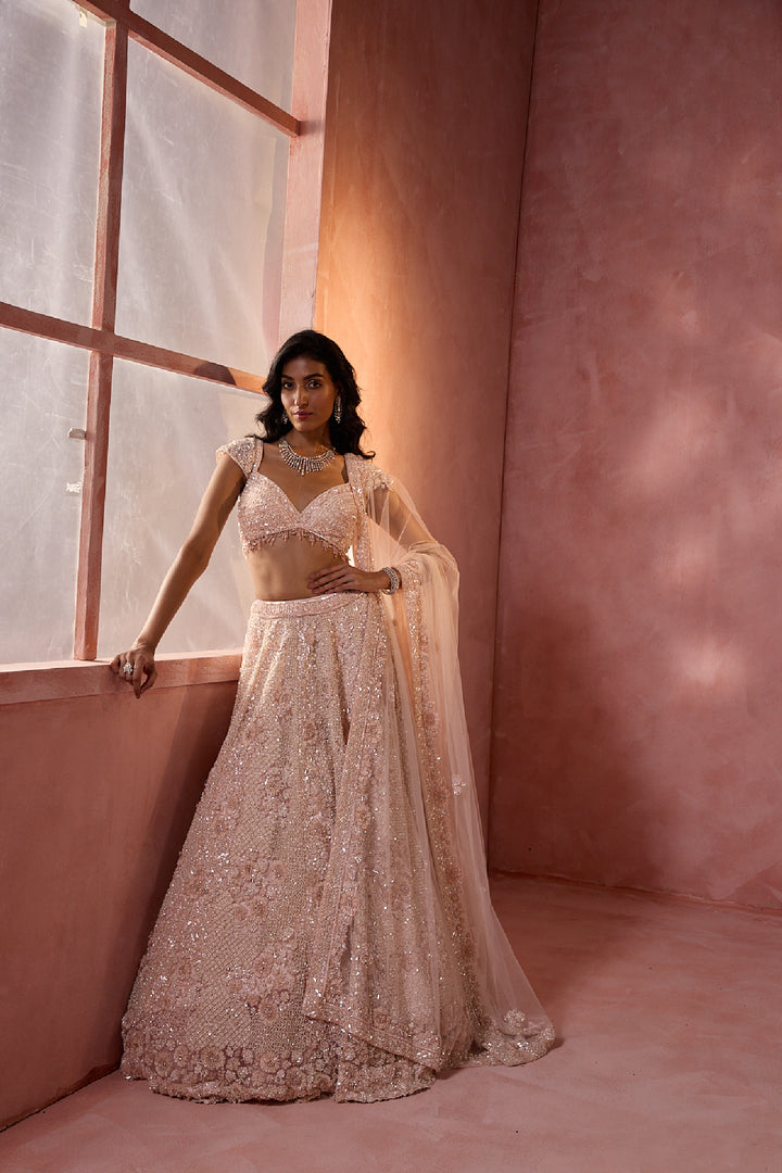 Blush Pink Net Lehenga Set