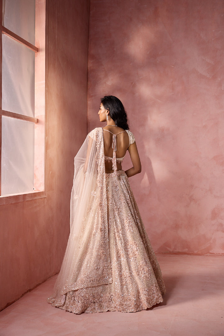 Blush Pink Net Lehenga Set