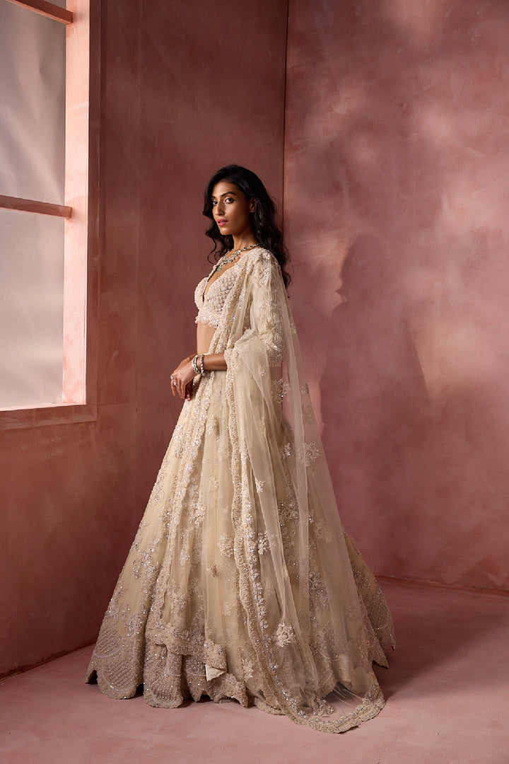 Ivory Organza Lehenga Set