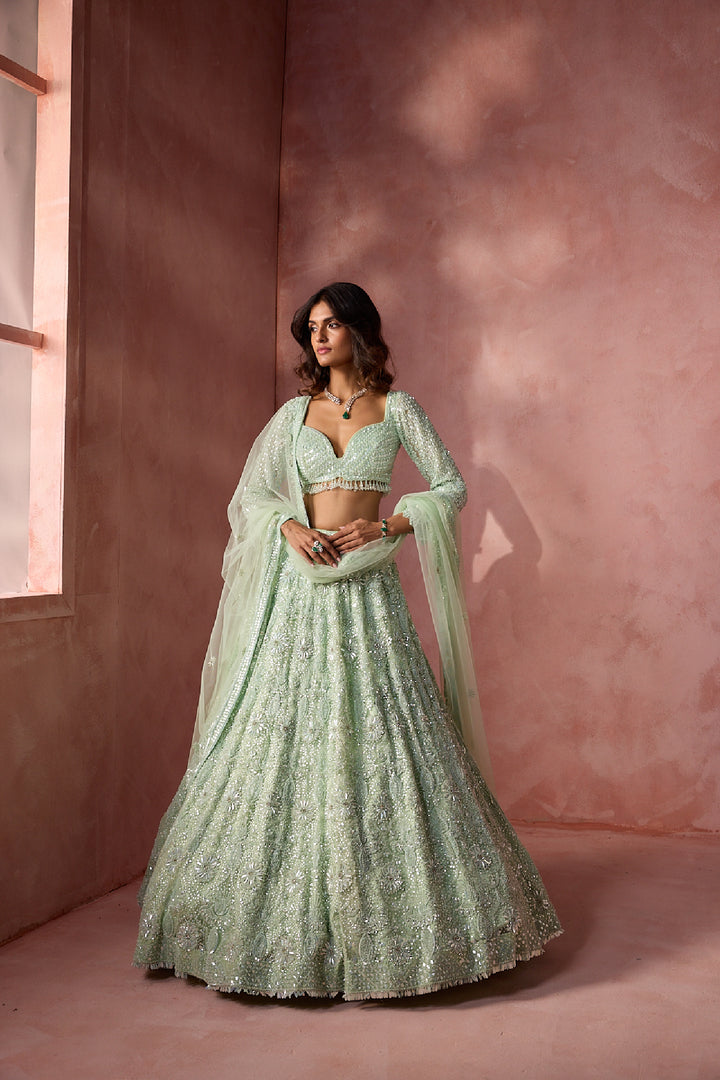 Sea Green Net Lehenga Set