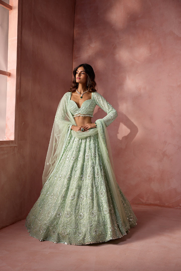 Sea Green Net Lehenga Set