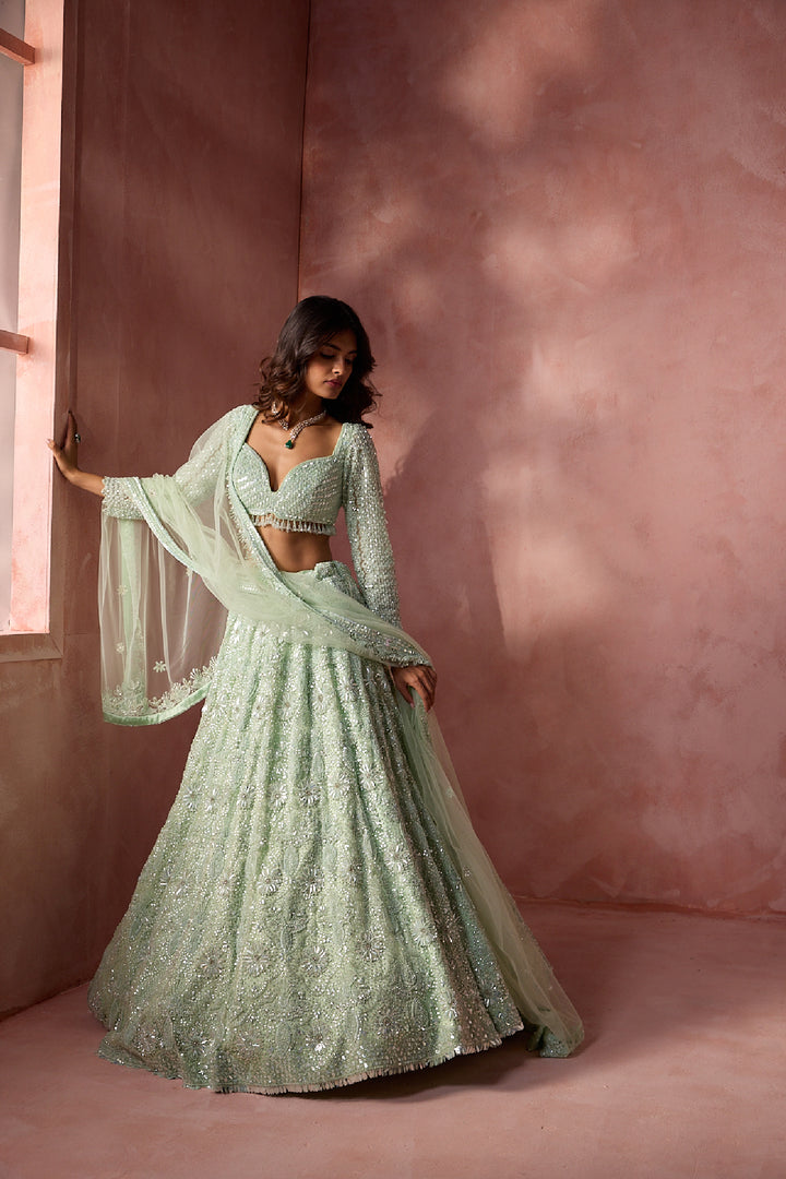 Sea Green Net Lehenga Set