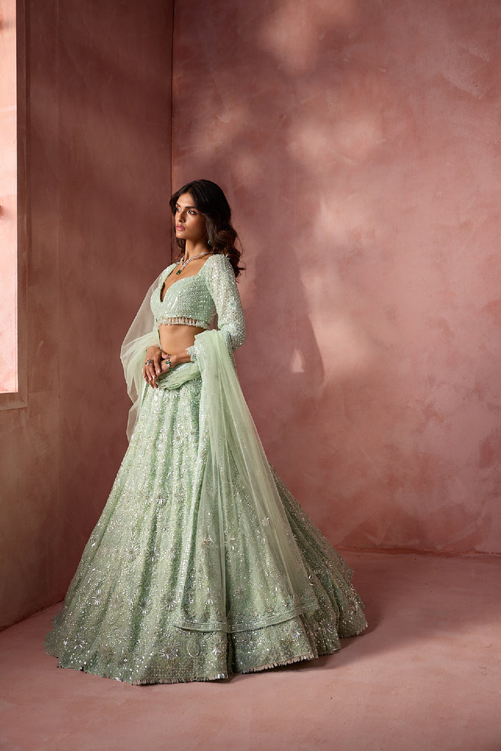 Sea Green Net Lehenga Set