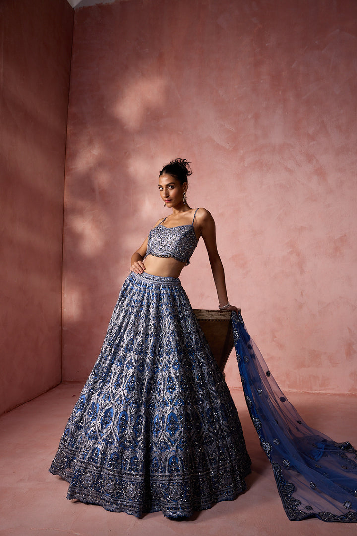 Petrol Blue Net Lehenga Set