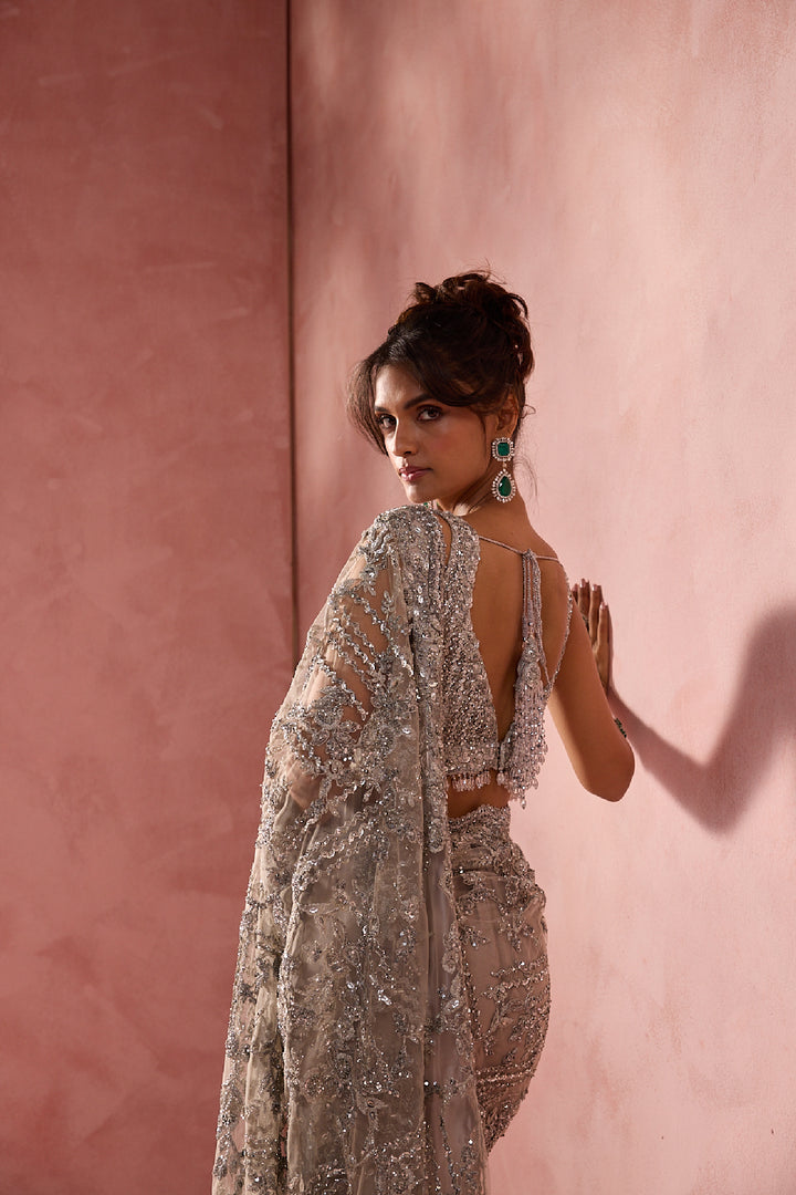 Silver Grey Net Saree Set With Silver Work