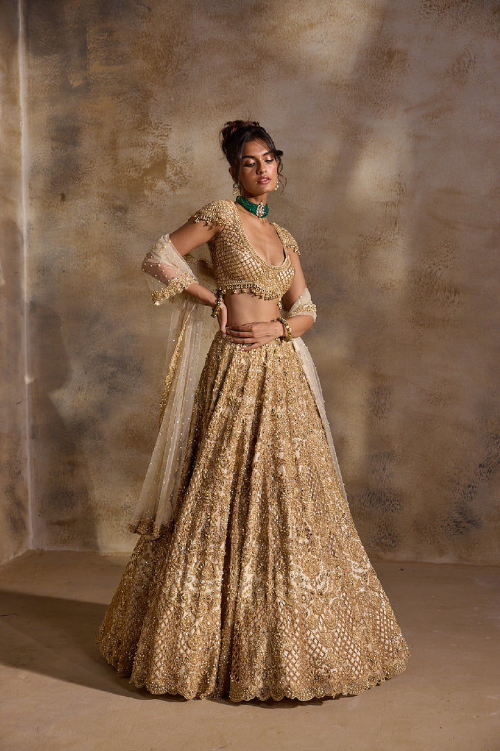 Gold Cutwork Lehenga Set