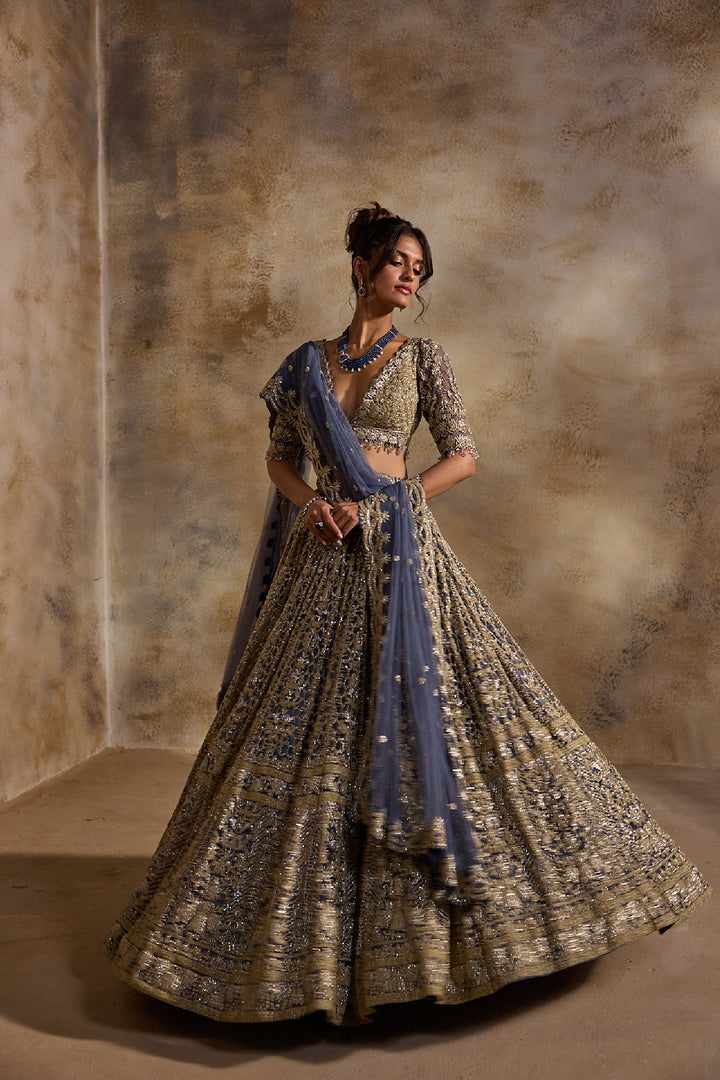 Blue Grey Net Lehenga Set