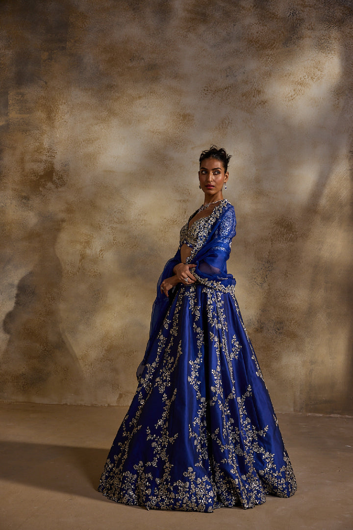 Electric Blue Taffeta Gota Work Lehenga Set
