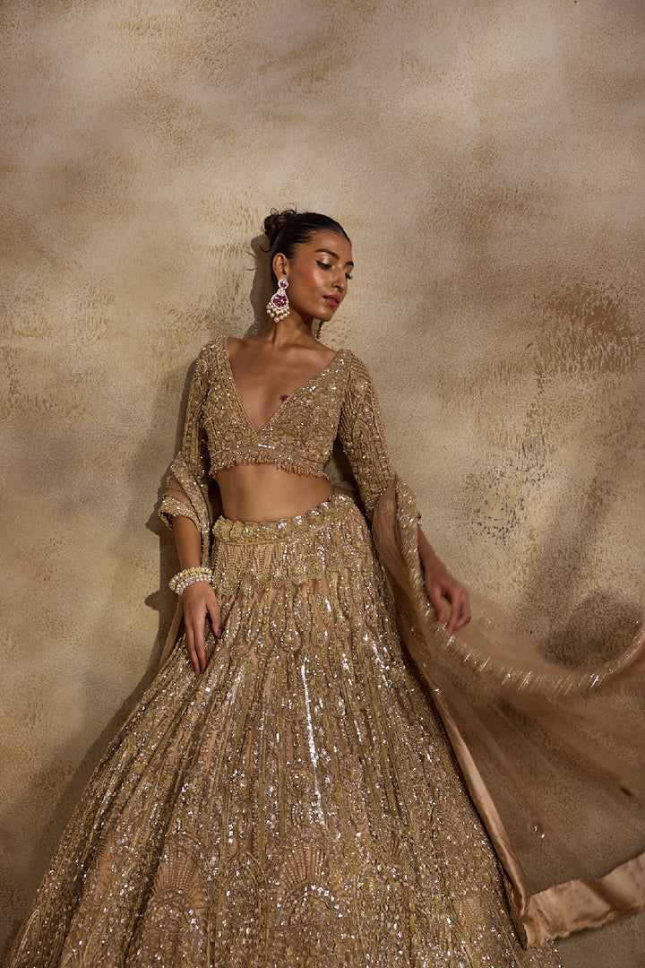 Champagne Gold Lehenga Choli Dupatta