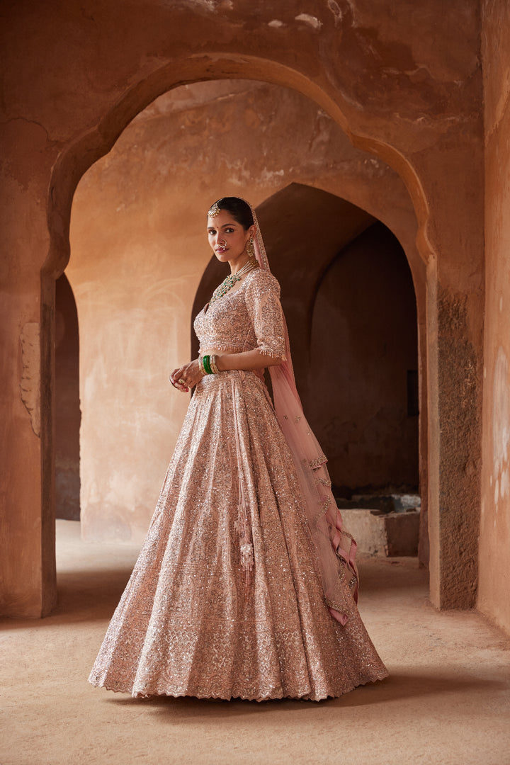 Blush Pink Nazm Lehenga