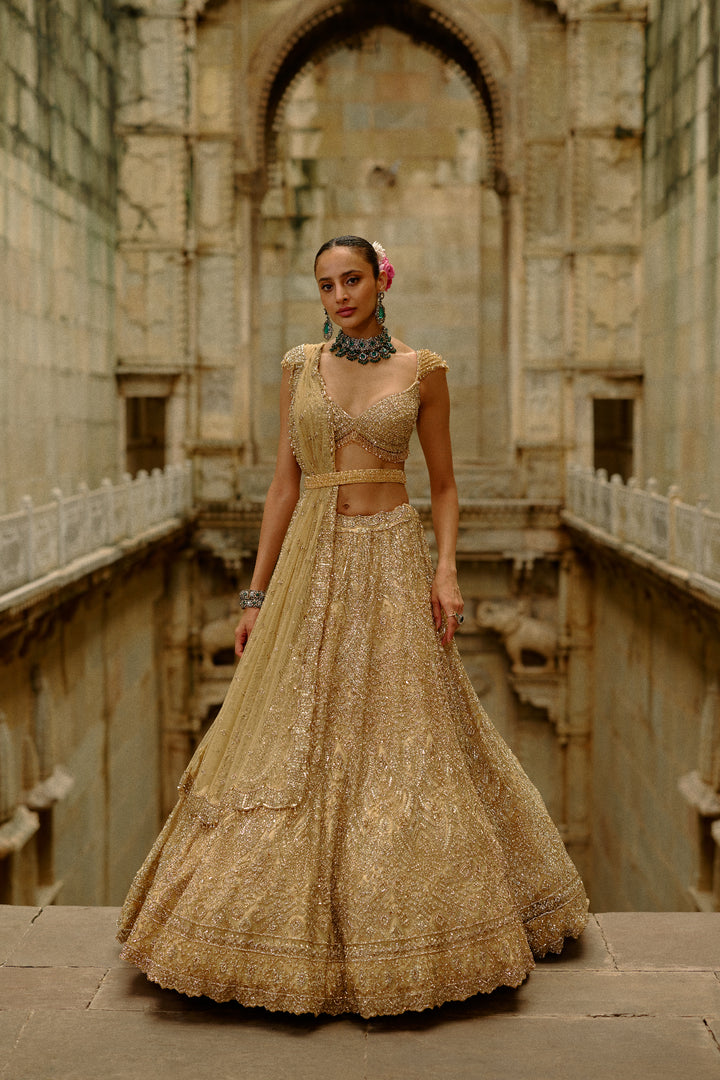 Gold Reva Lehenga
