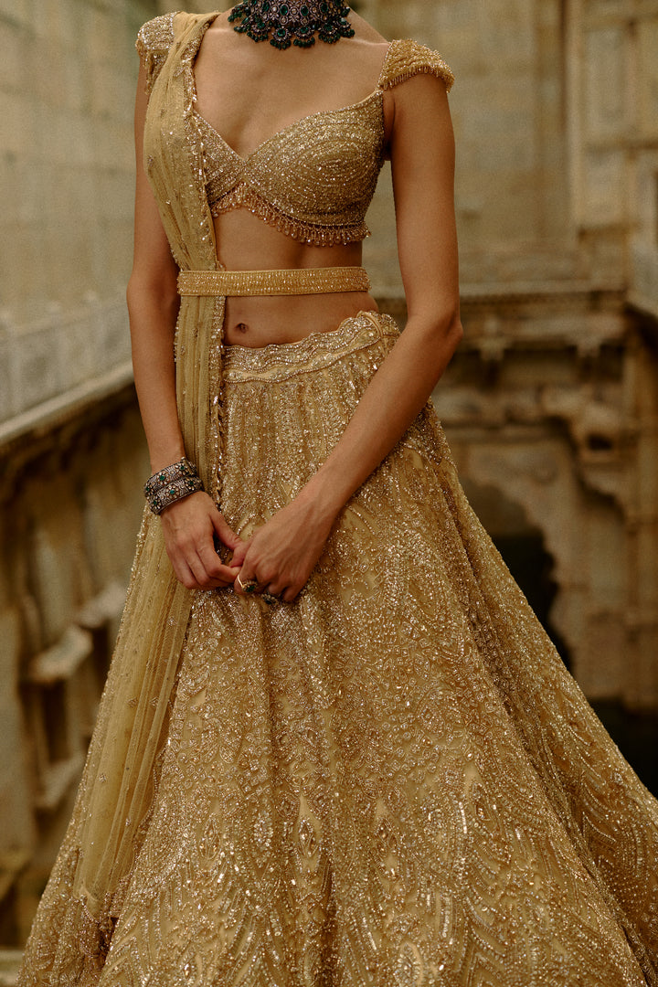 Gold Reva Lehenga