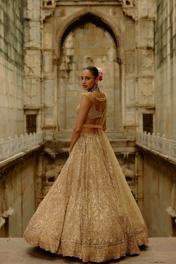 Gold Reva Lehenga