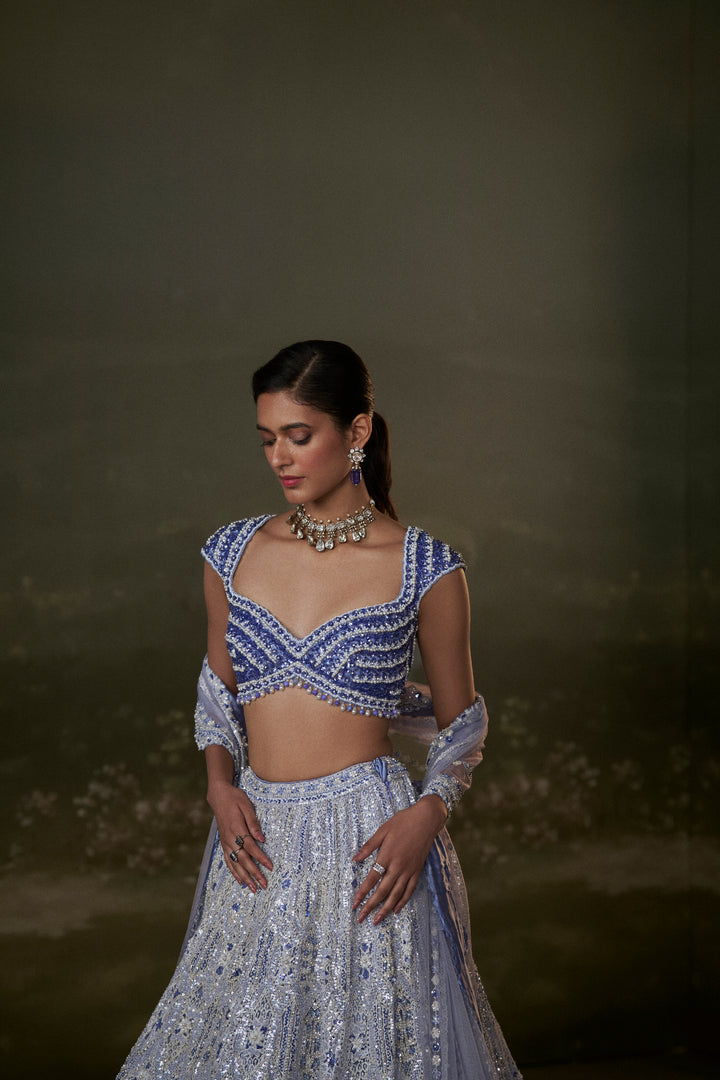 Ink Blue Lehenga Choli Set