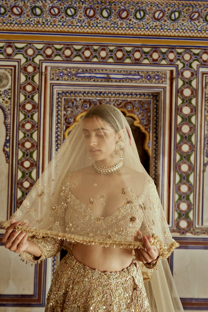 Champagne Sitara Lehenga