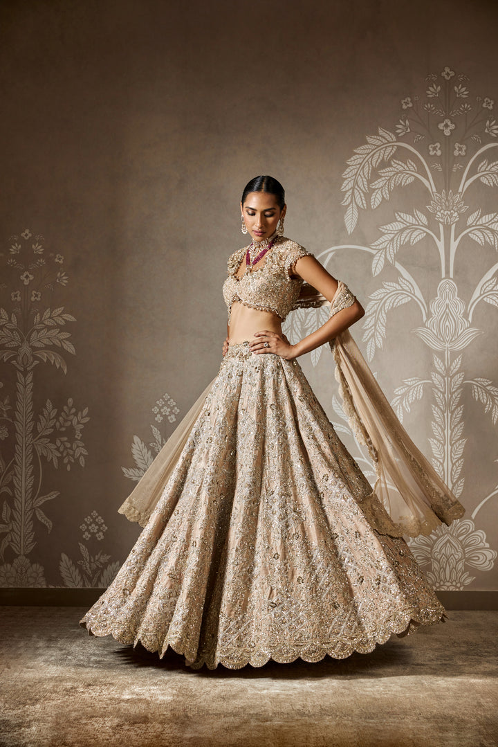 Ziva Lehenga Set
