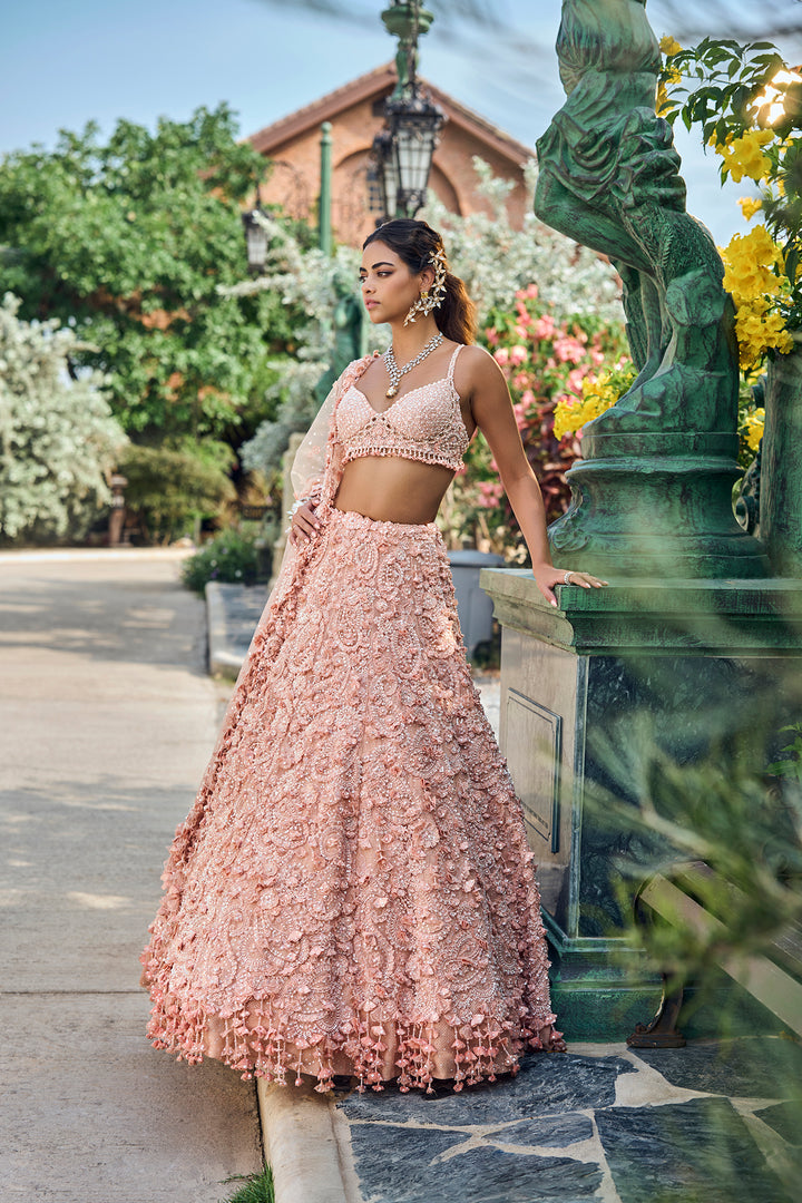 Peach Three-Dimensional Lehenga Set