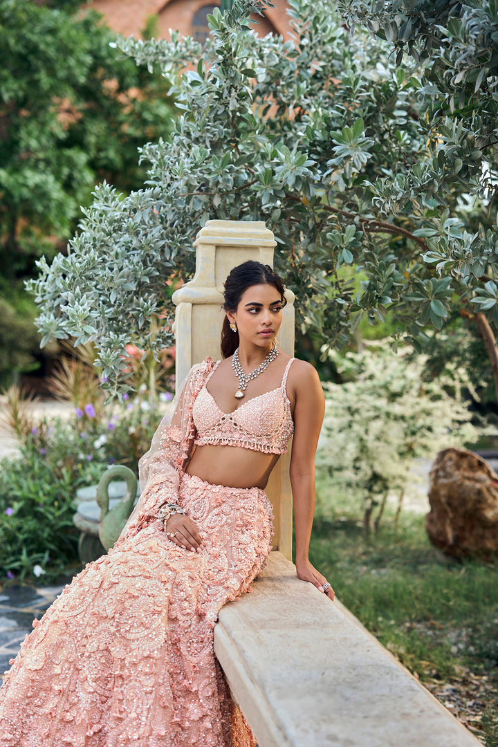 Peach Three-Dimensional Lehenga Set