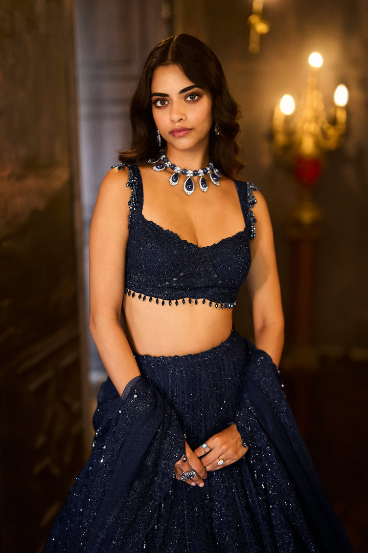 Navy Crystal Lehenga Set