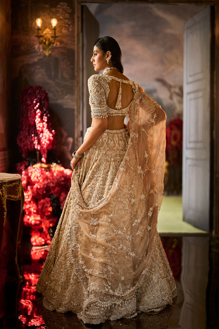 Nude Pearl Lehenga Set