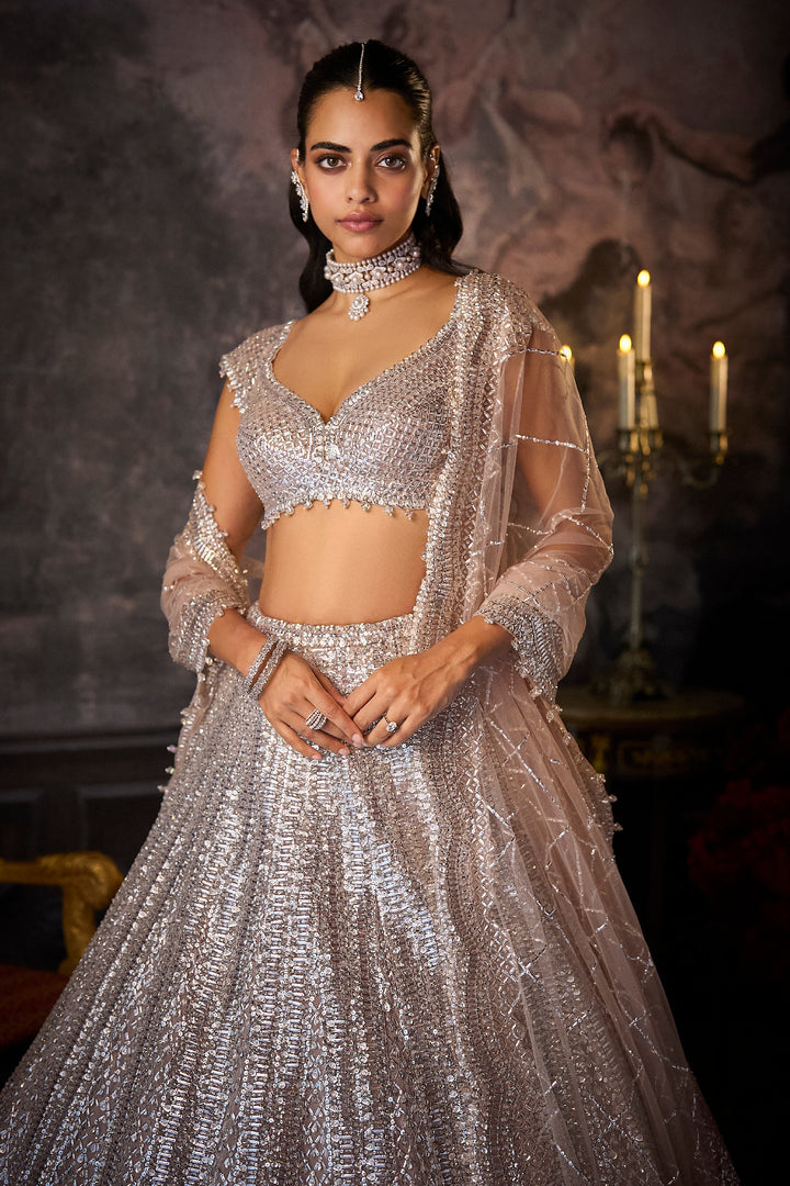 Dusty Mauve Lehenga Set