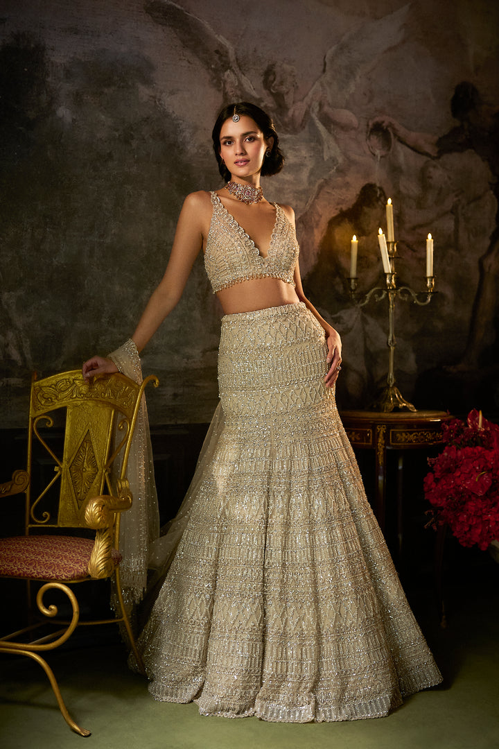 Champagne Nude Fit & Flare Skirt Set