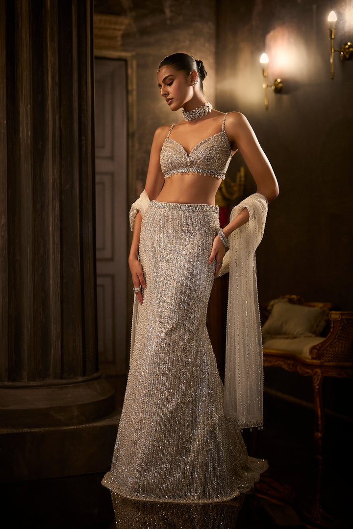 Silver Fit & Flare Trail Skirt Set