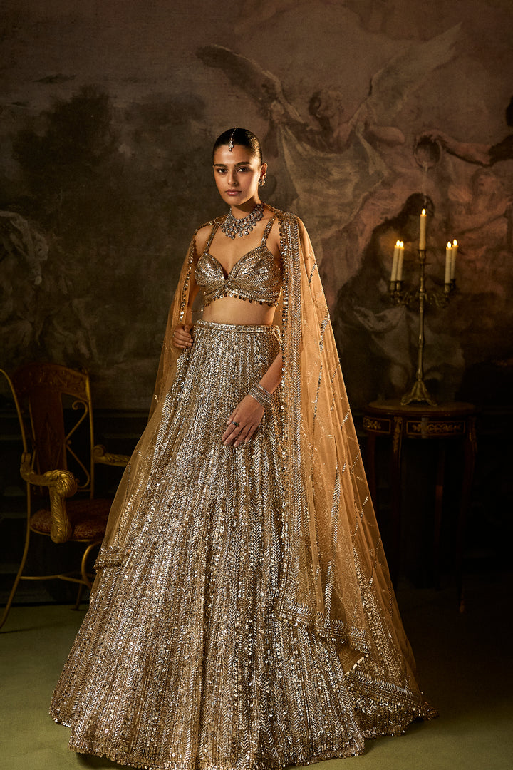 Gold Silver Lehenga Set