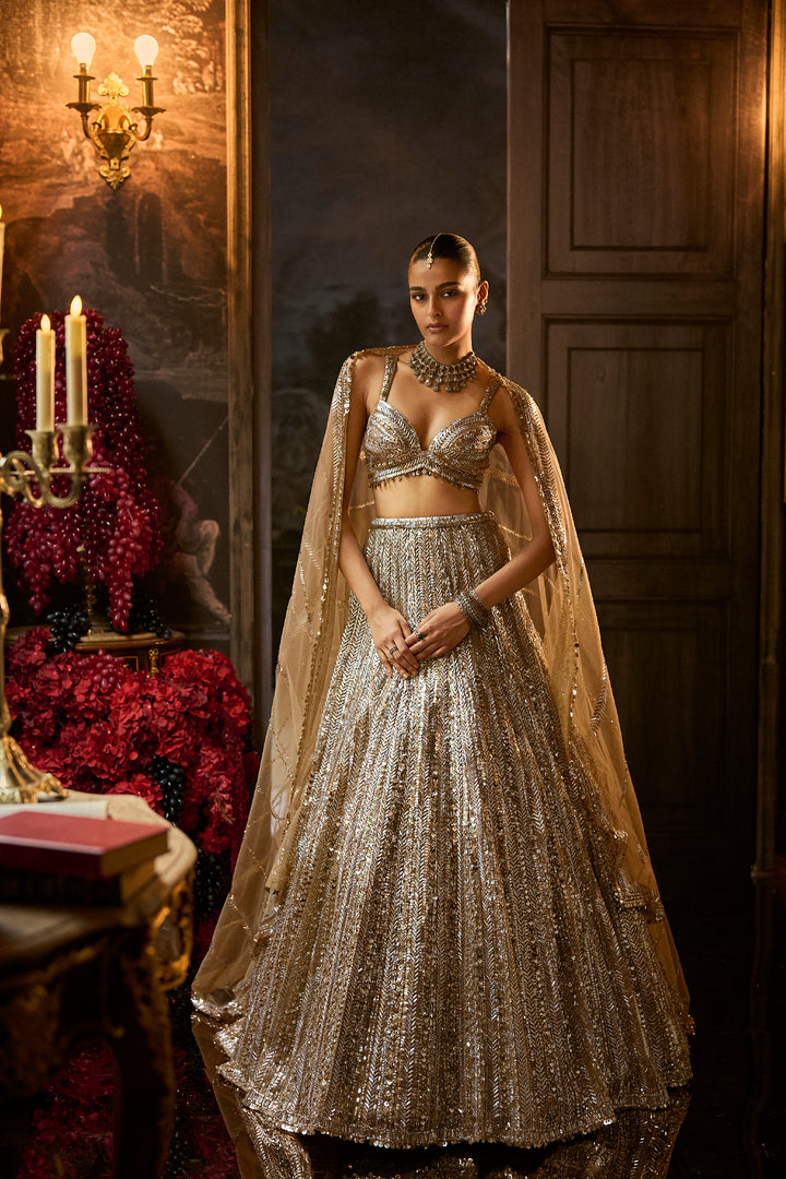 Gold Silver Lehenga Set