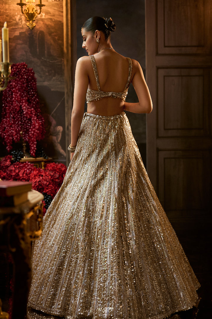 Gold Silver Lehenga Set