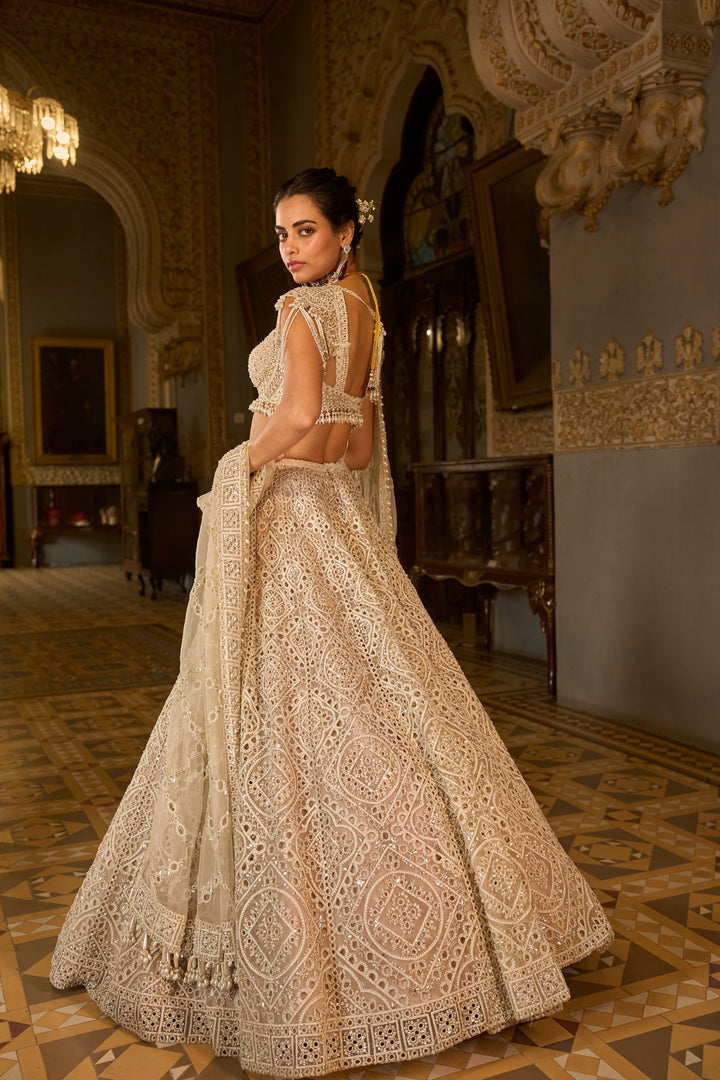 Dark Beige Thread Work Lehenga Set