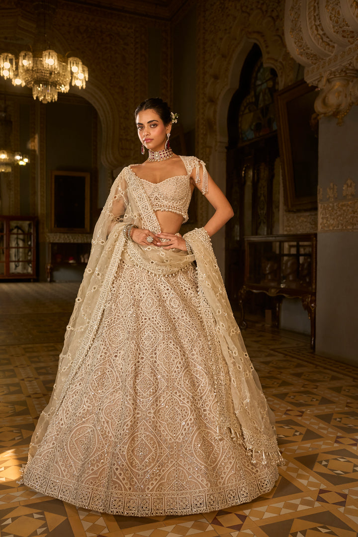 Dark Beige Thread Work Lehenga Set