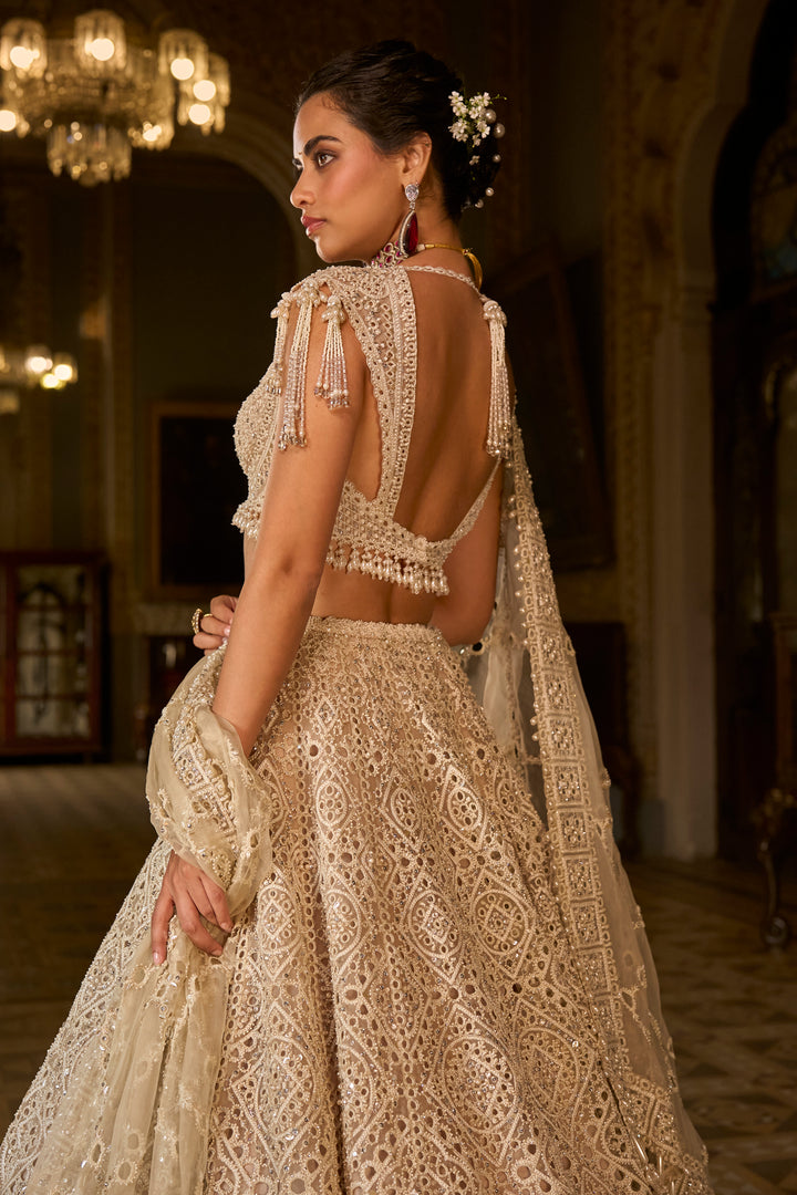 Dark Beige Thread Work Lehenga Set