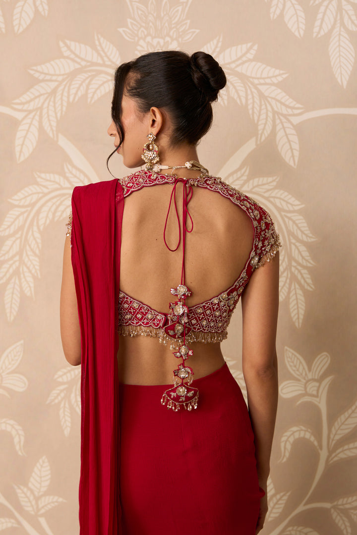 Dilruba Saree Set