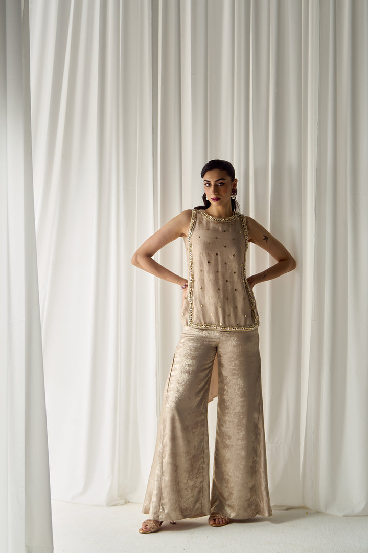Beige Mukaish-work Co-ord