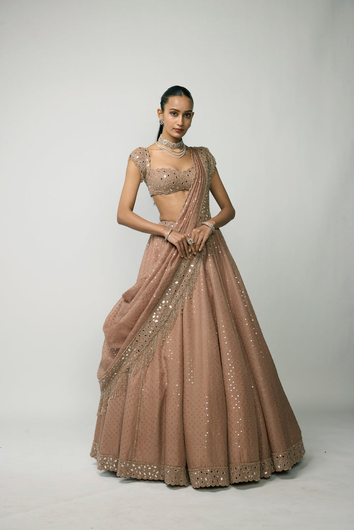Bronze Rosé Sequins Embroidered Lehenga Set