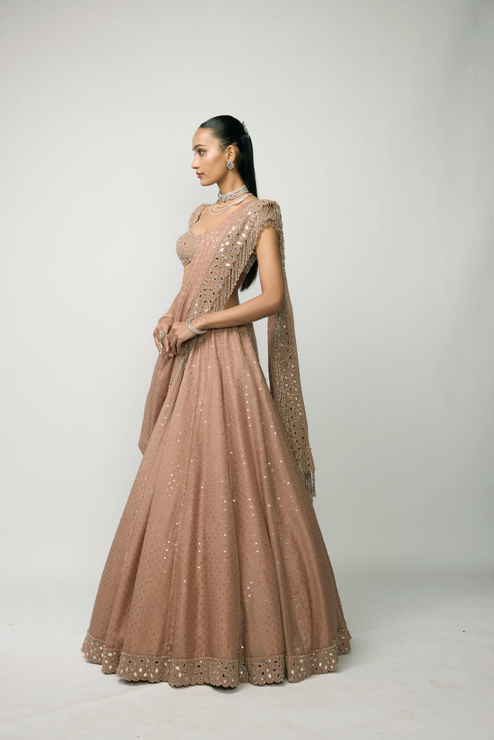 Bronze Rosé Sequins Embroidered Lehenga Set