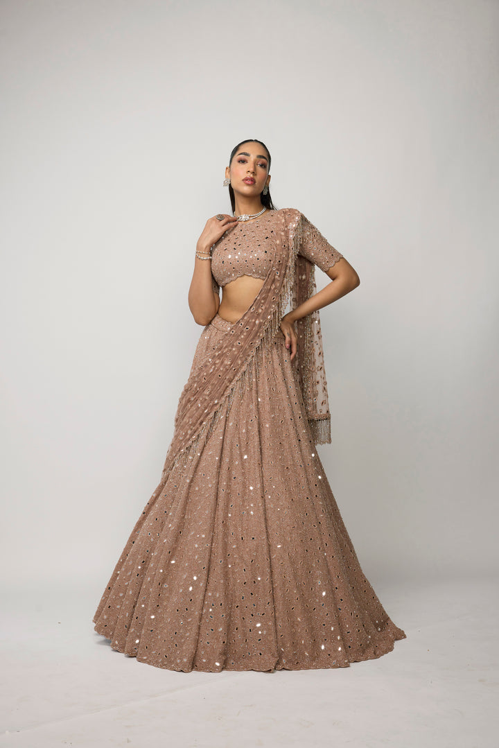 Bronze Rosé Lehenga Set