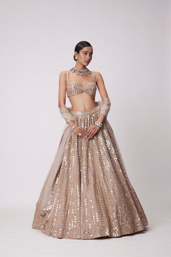 Light Beige Hand Embroidered Lehenga Set