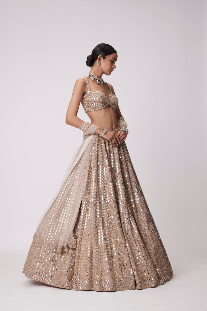 Light Beige Hand Embroidered Lehenga Set