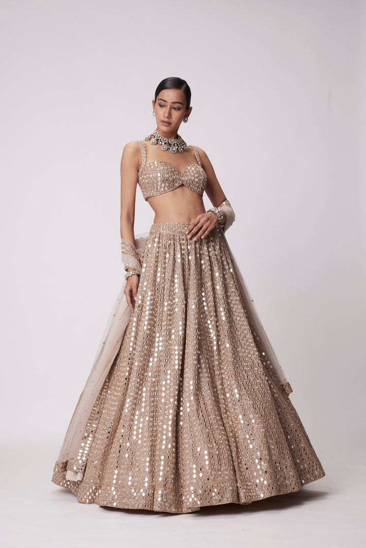 Light Beige Hand Embroidered Lehenga Set