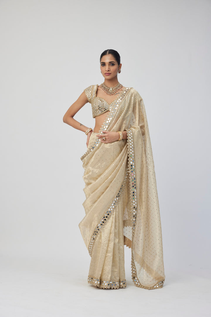 Golden Shimmer Organza Saree Set