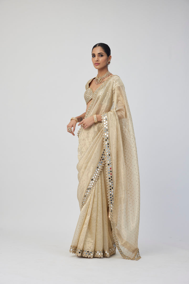 Golden Shimmer Organza Saree Set
