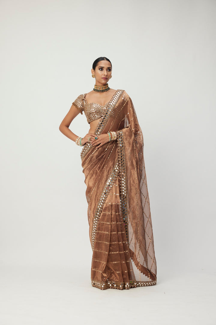 Copper Shimmer Organza Saree Set