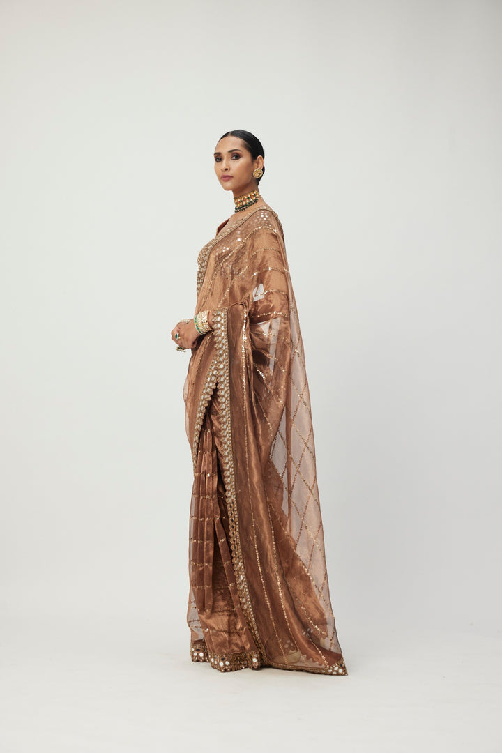 Copper Shimmer Organza Saree Set