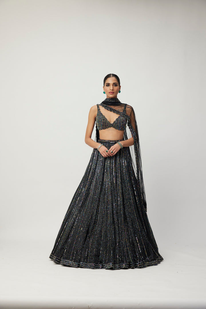 Black Crystal Linear Embroidered Lehenga Set
